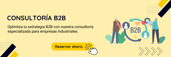 consultoria B2B